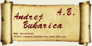 Andrej Bukarica vizit kartica